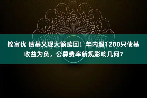 锦富优 债基又现大额赎回！年内超1200只债基收益为负，公募费率新规影响几何？