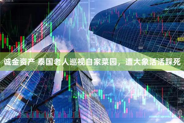 诚金资产 泰国老人巡视自家菜园，遭大象活活踩死