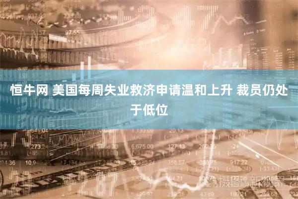 恒牛网 美国每周失业救济申请温和上升 裁员仍处于低位