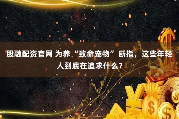 股融配资官网 为养 “致命宠物” 断指,这些年轻人到底在追求什么?