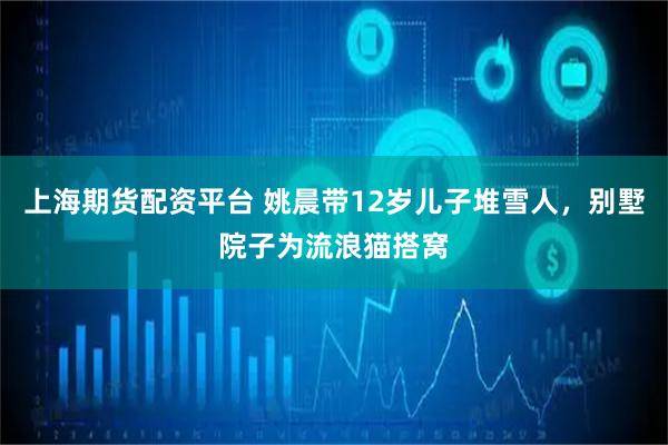 上海期货配资平台 姚晨带12岁儿子堆雪人，别墅院子为流浪猫搭窝